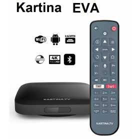 Kartina EVA 4K Lan/ Wlan Receiver (Android)